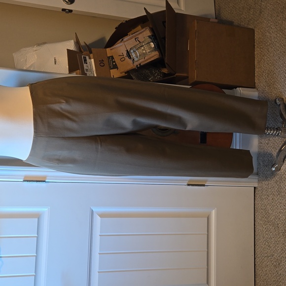 Earthy green/brown taupe Talbots Petites dress/office pants - side zip - Picture 1 of 6